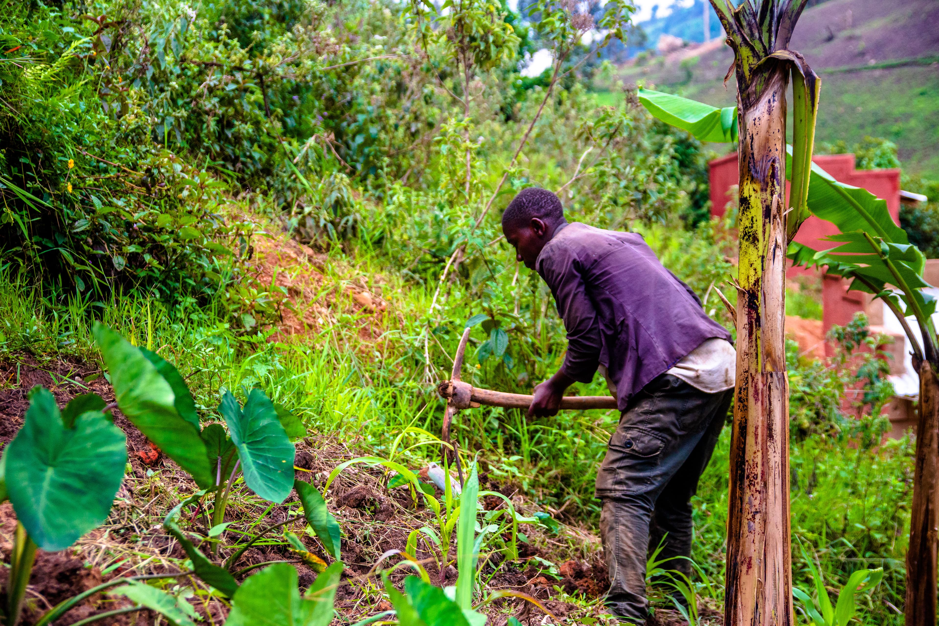 Brian one of our beneficiaries in his garden